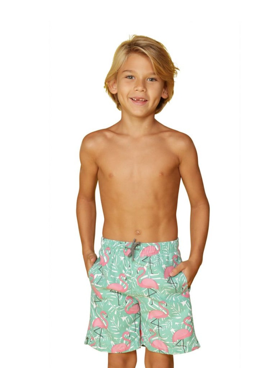 Kids Ingear Active | Boy'S Swim Trunks In A Flamingo And Fern Print 525